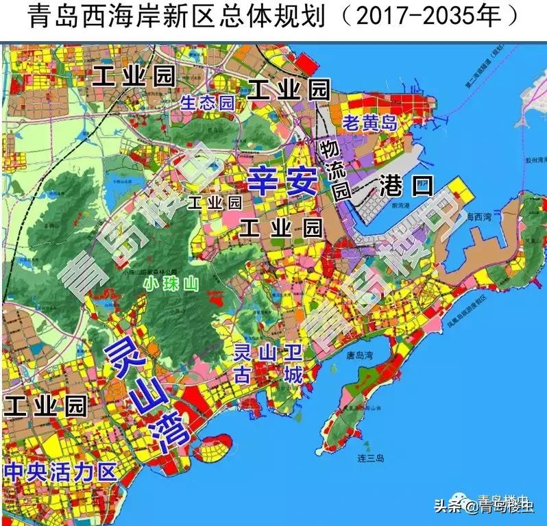 西海岸2024年房价预测,西海岸哪个区域房价最好