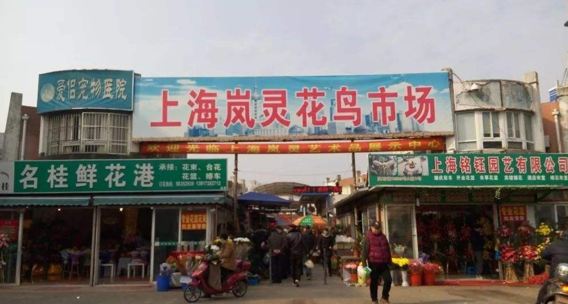 中国最大的鱼鸟虫批发市场,广州花鸟鱼虫批发市场在哪里