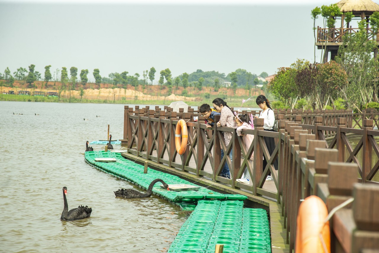 五一黄金周长沙旅游攻略,长沙洋沙湖自驾游攻略