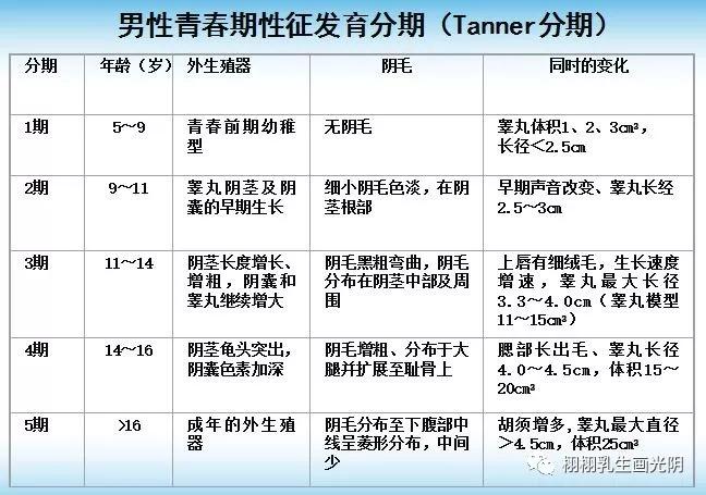 乳房发育早熟怎么治疗,乳房早熟有什么方法治疗