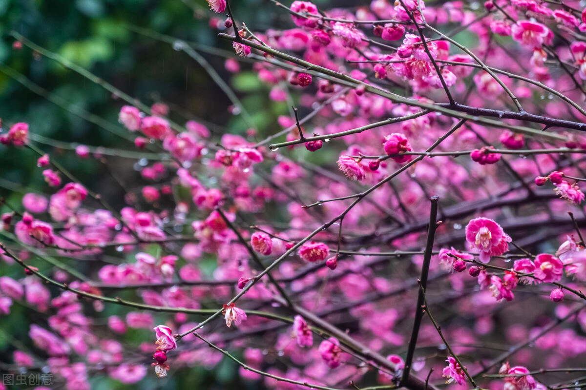 写出好诗的六大要素,如何写好诗的方法和技巧