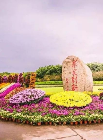 上海被低估的国际化学校,上海大学为啥被称为魔都良心大学