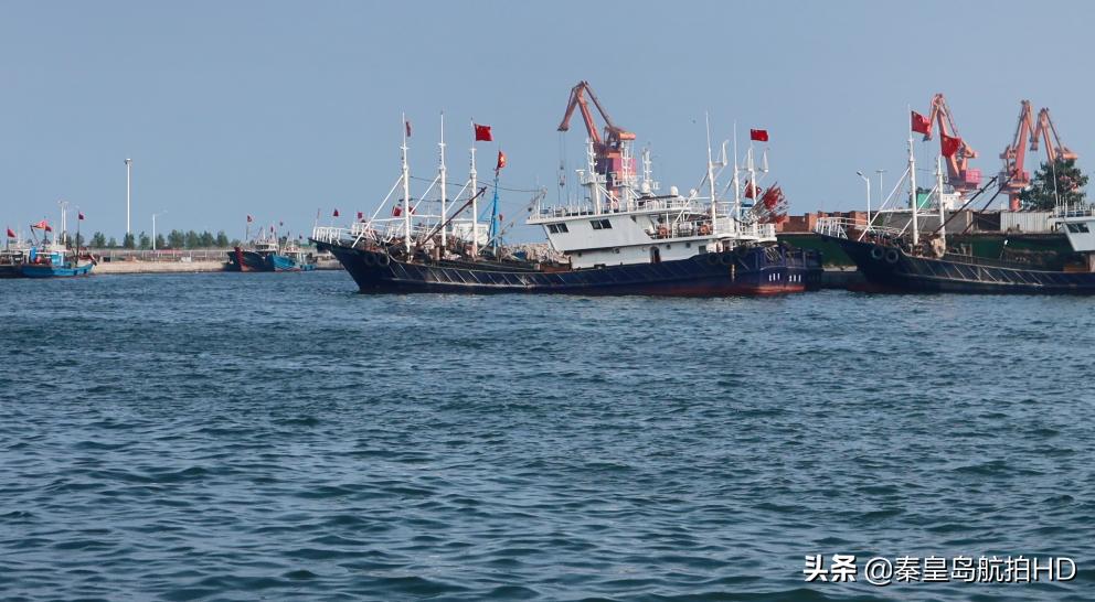 秦皇岛买海鲜去哪里,秦皇岛哪里买出海回来的海鲜