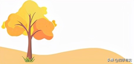 来自海洋的鲜味——虾仁干