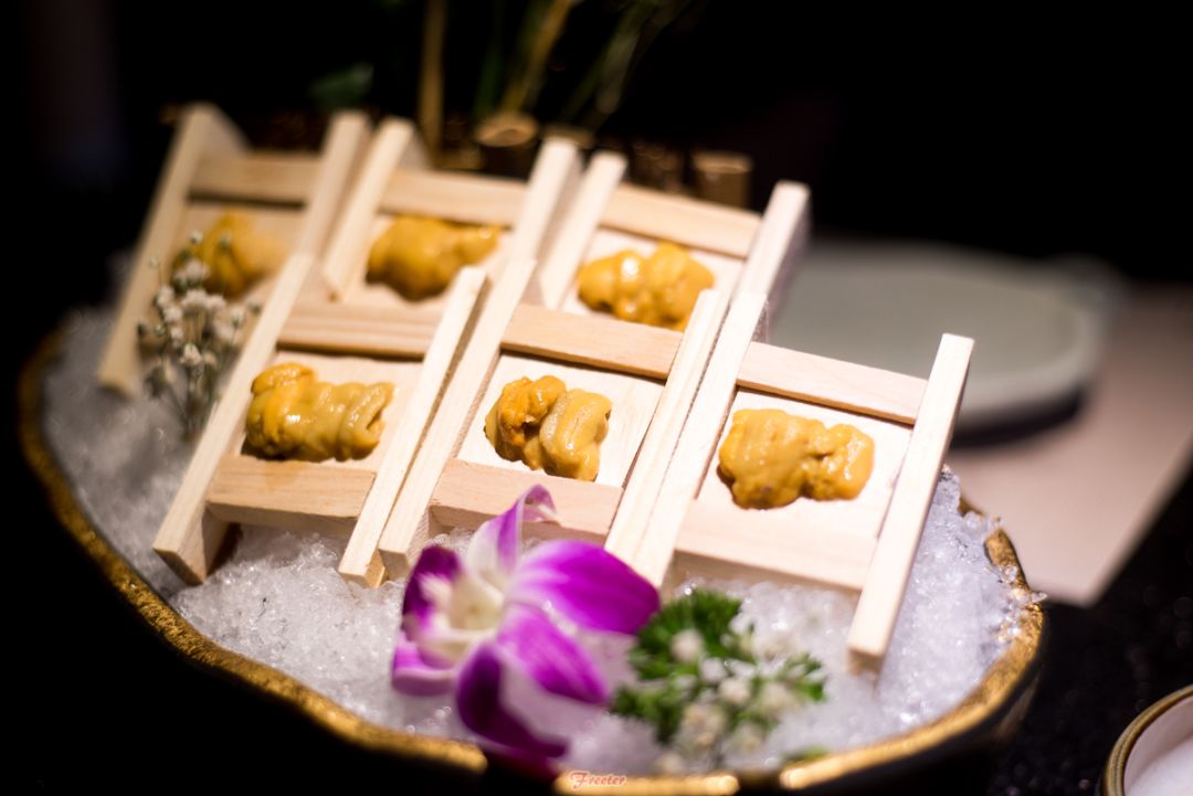 海口飞特,飞特推荐