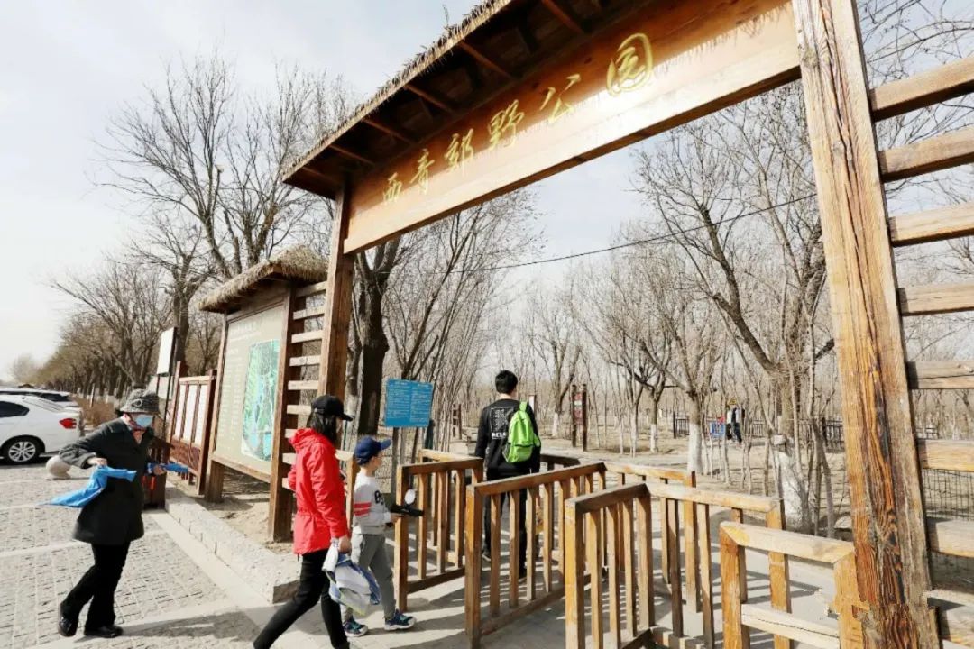 天津市五一新开放的公园,天津春暖花开西沽公园