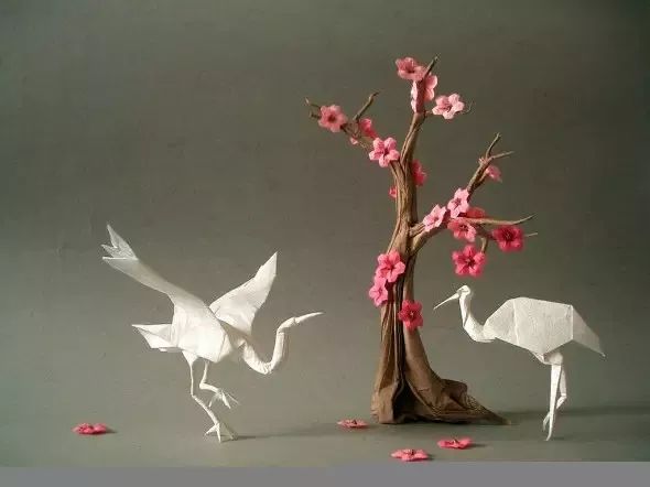 能飞100米的飞机纸飞机怎么折,高音速飞机折法