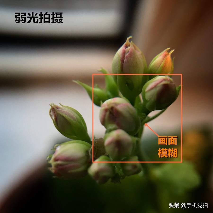 手机拍照模糊如何修复清晰度,手机画质模糊怎么办