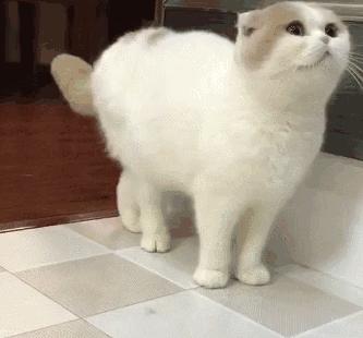 水乳分开和成套的区别,水乳分开还是套