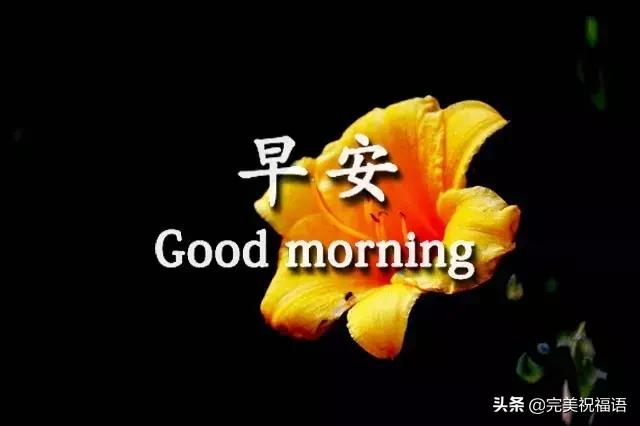 早安手机短信,发给朋友早上好短信