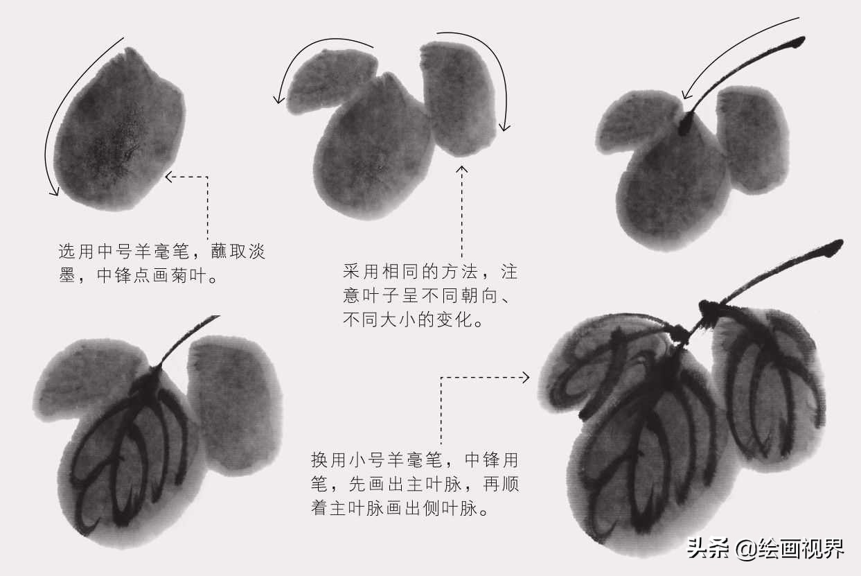零基础国画（菊花）画法教程：学会这几点技法，几分钟画一朵菊花