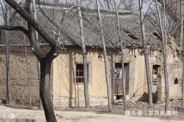 被丈夫暴打的她离家出走活出了自己的精彩，之后又把女儿接到身边