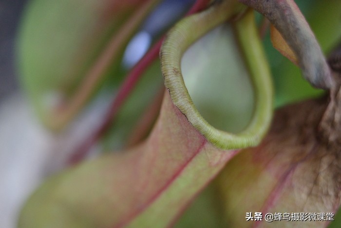 相机测评：理光GR3扫街拍照神器6199元买的不只是情怀