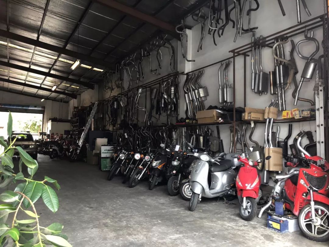 这地方是男人天堂,我们的大宝马也怕了