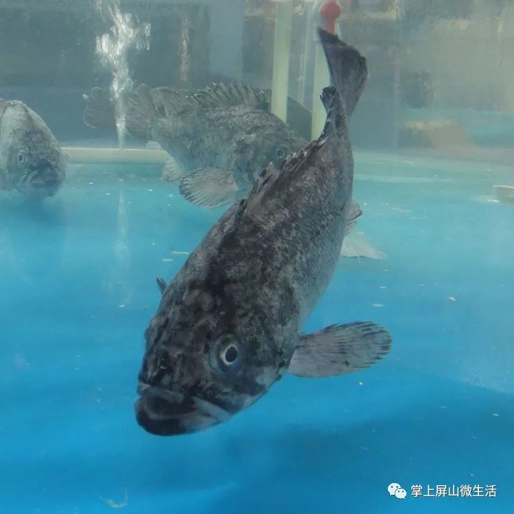 十个生活小妙招实用生活小技巧,15种实用的生活小妙招