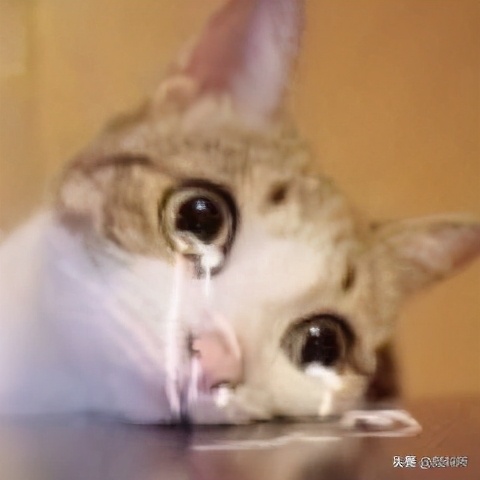 怎么养肤可以让皮肤变好变年轻,什么样的皮肤适合以油养肤