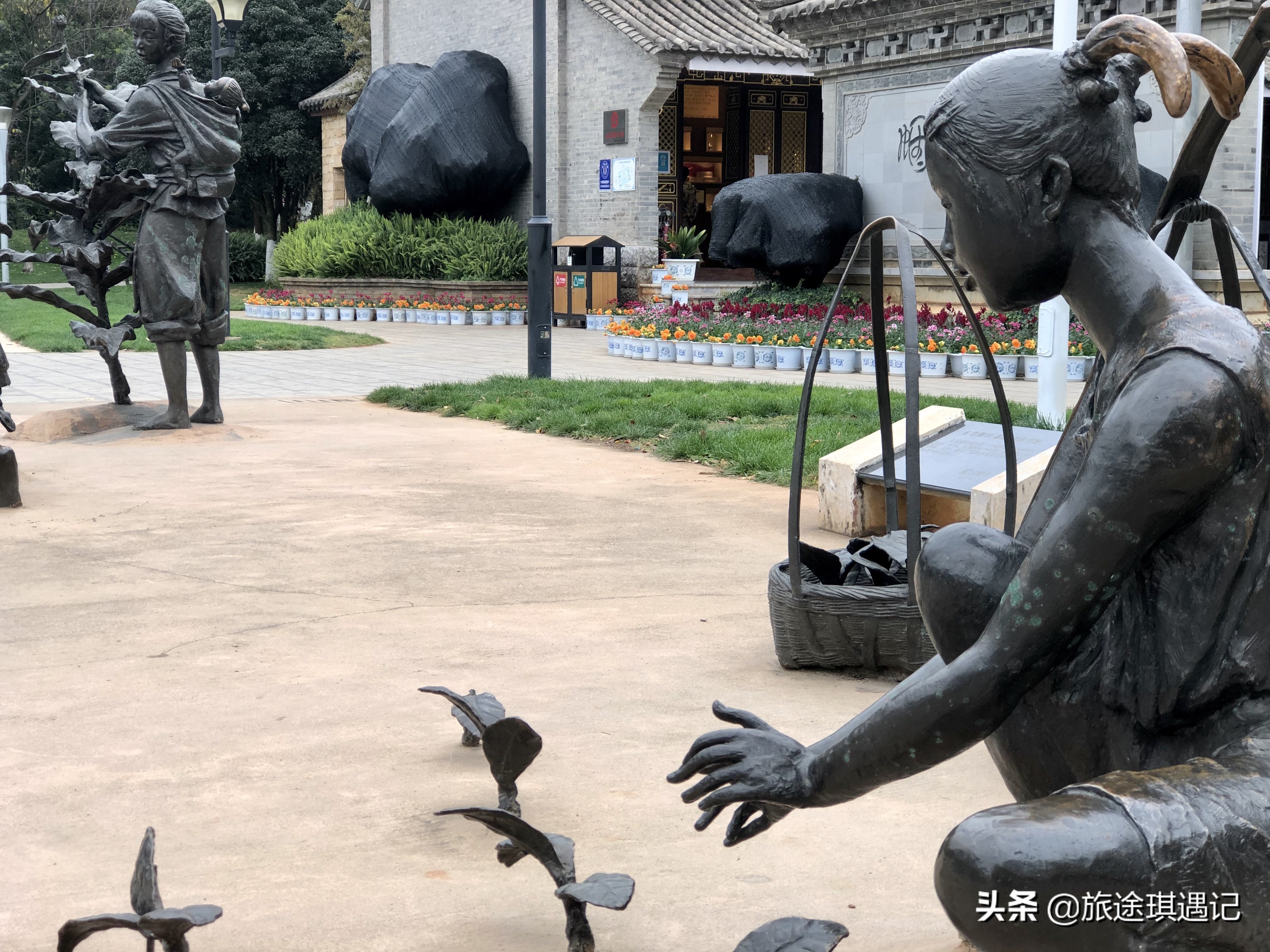 来玉溪的感受,来玉溪感受生物多样性之美