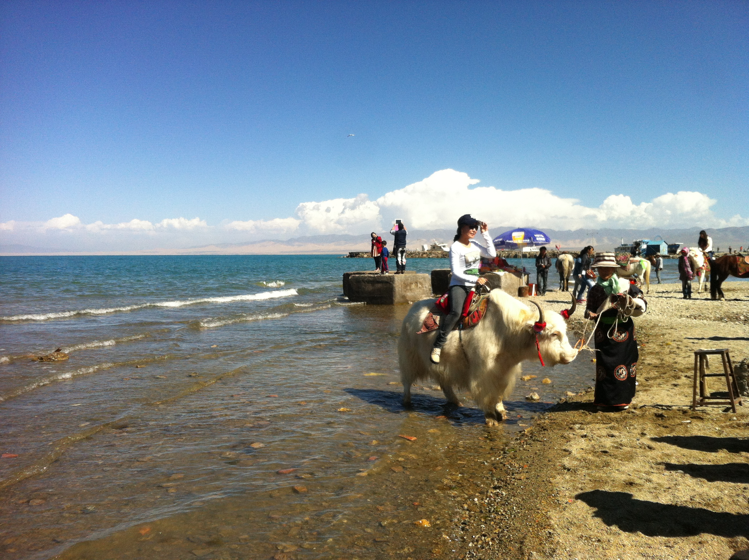 舌尖上的中国特产品味人家,舌尖上的中国特产大全集