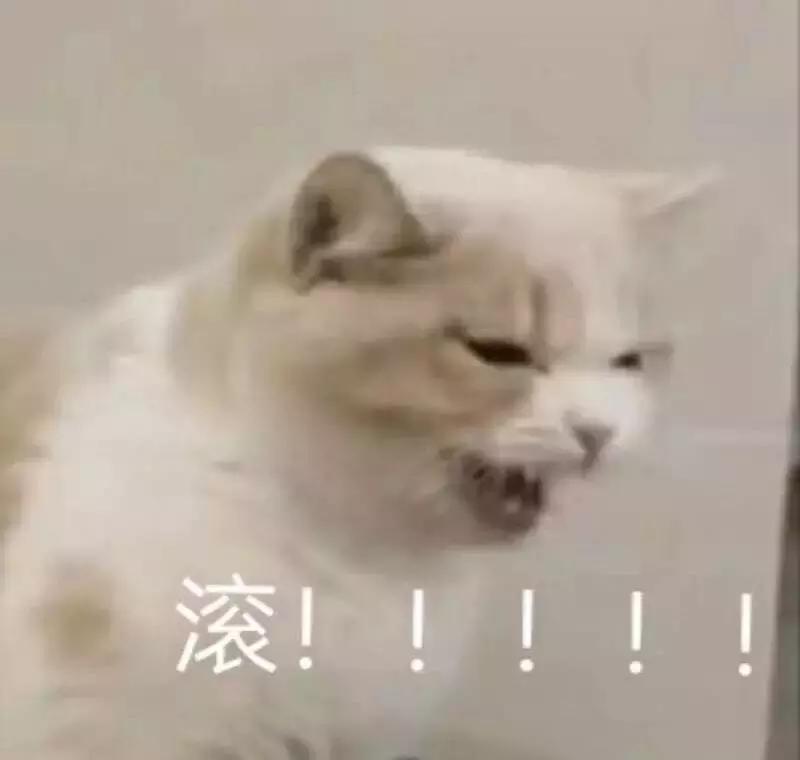 城市套路深,我求求你们不要再信这些了!