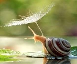 玛丽苏神剧是怎样毁灭的,四分钟看懂玛丽苏神剧