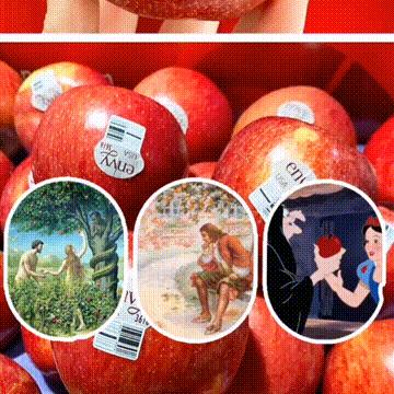 每天认识一种美食,每天认识一种食品