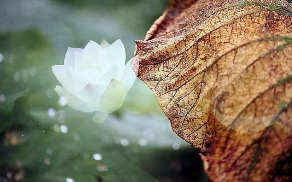 老僧的点醒:感觉生活不如人意时,建议去这3个地方看看