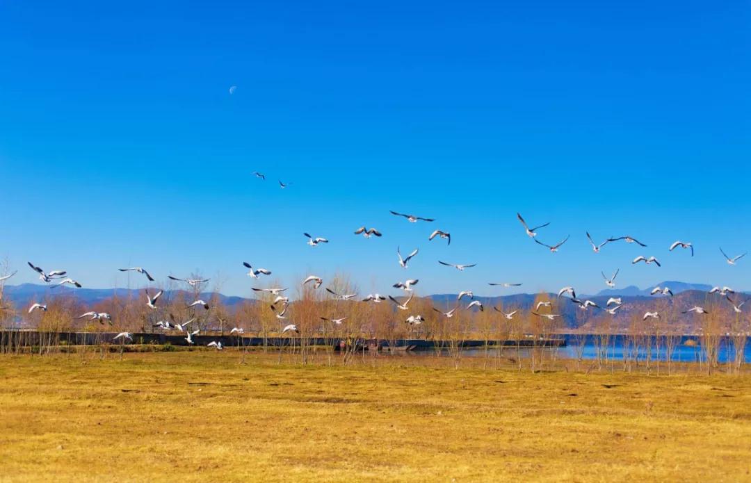 去丽江住哪个客栈好,丽江住两晚推荐