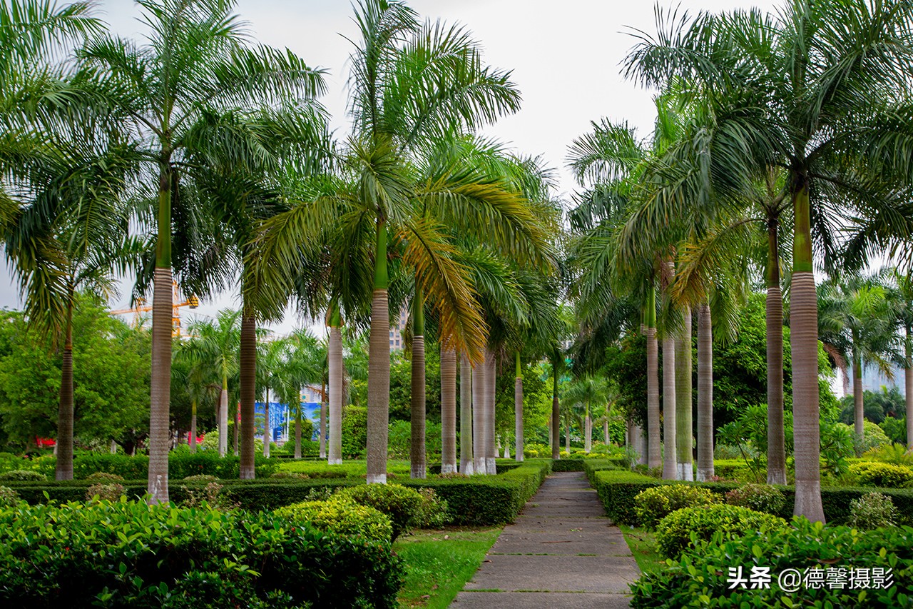 珠海梅溪牌坊游玩攻略,真实的梅溪牌坊