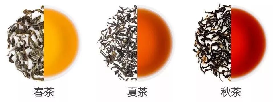 如火如荼|红茶界的F4，来啦