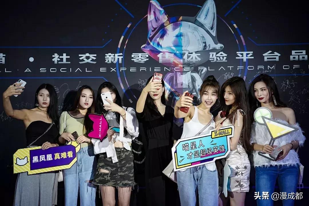 未来猫是什么品种,未来猫简介