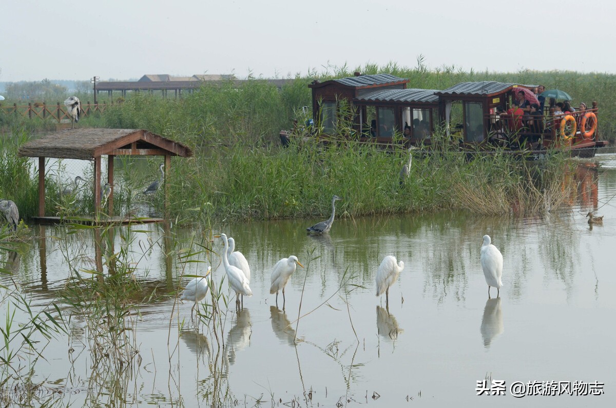 真正的天津水库,天津各大水库