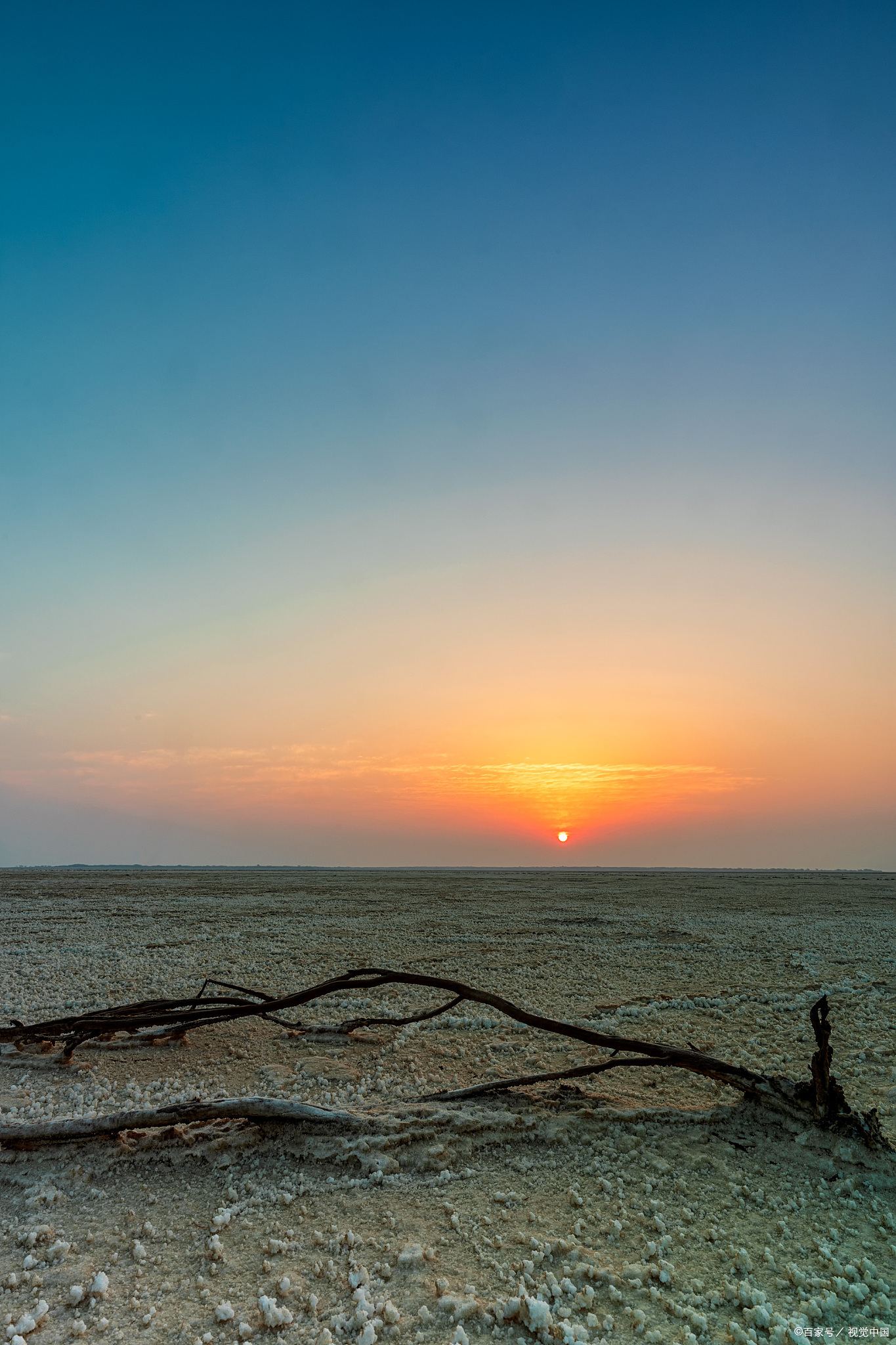 老牛拦路讨水,老牛拦路原视频