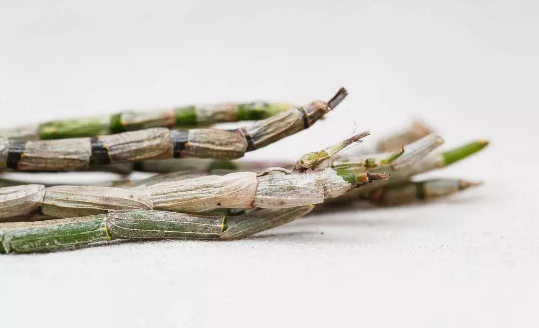 森宇农业,森宇创业