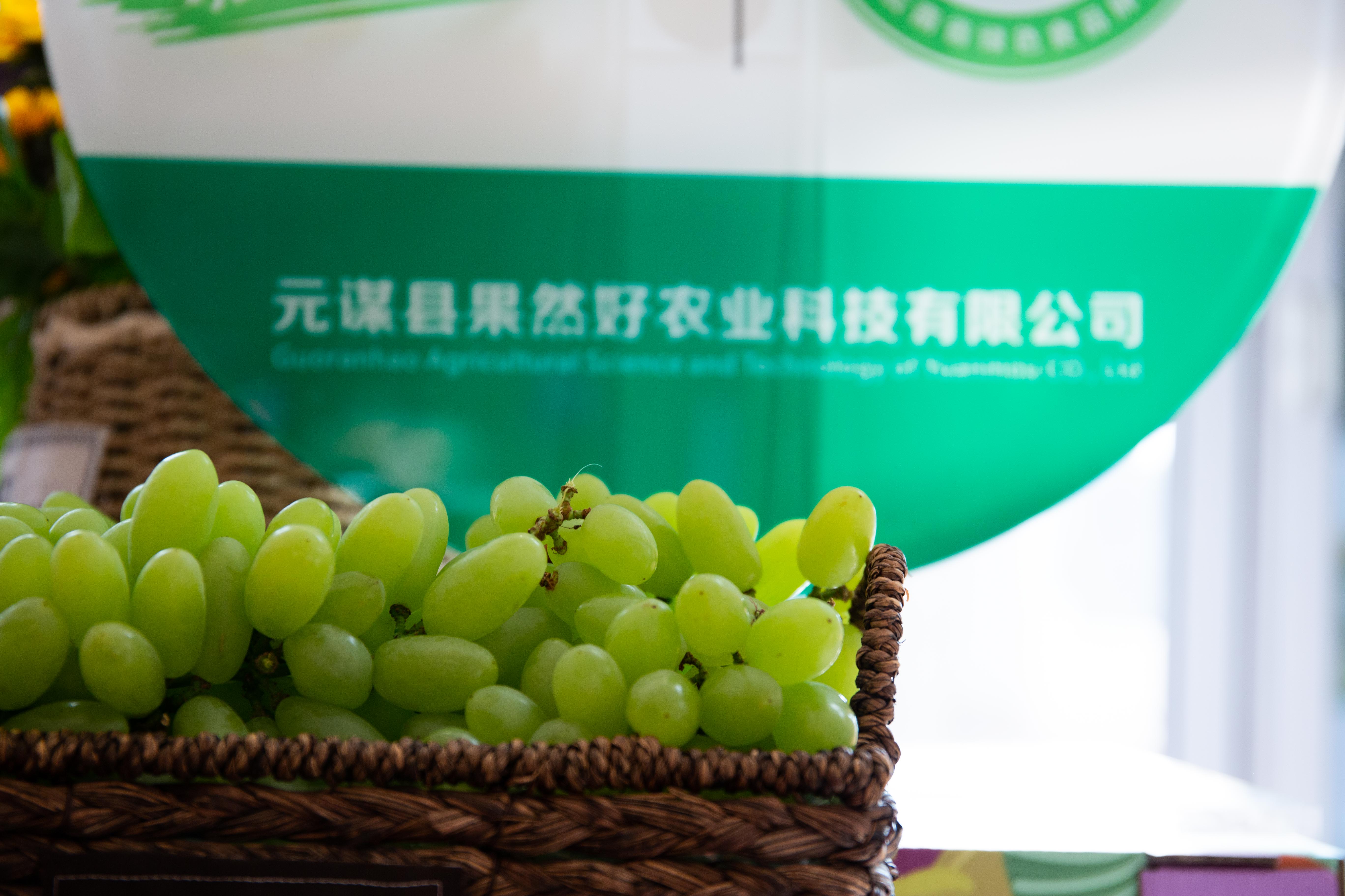 赞！云南这些优秀企业不一般，受书记、省长亲自表彰