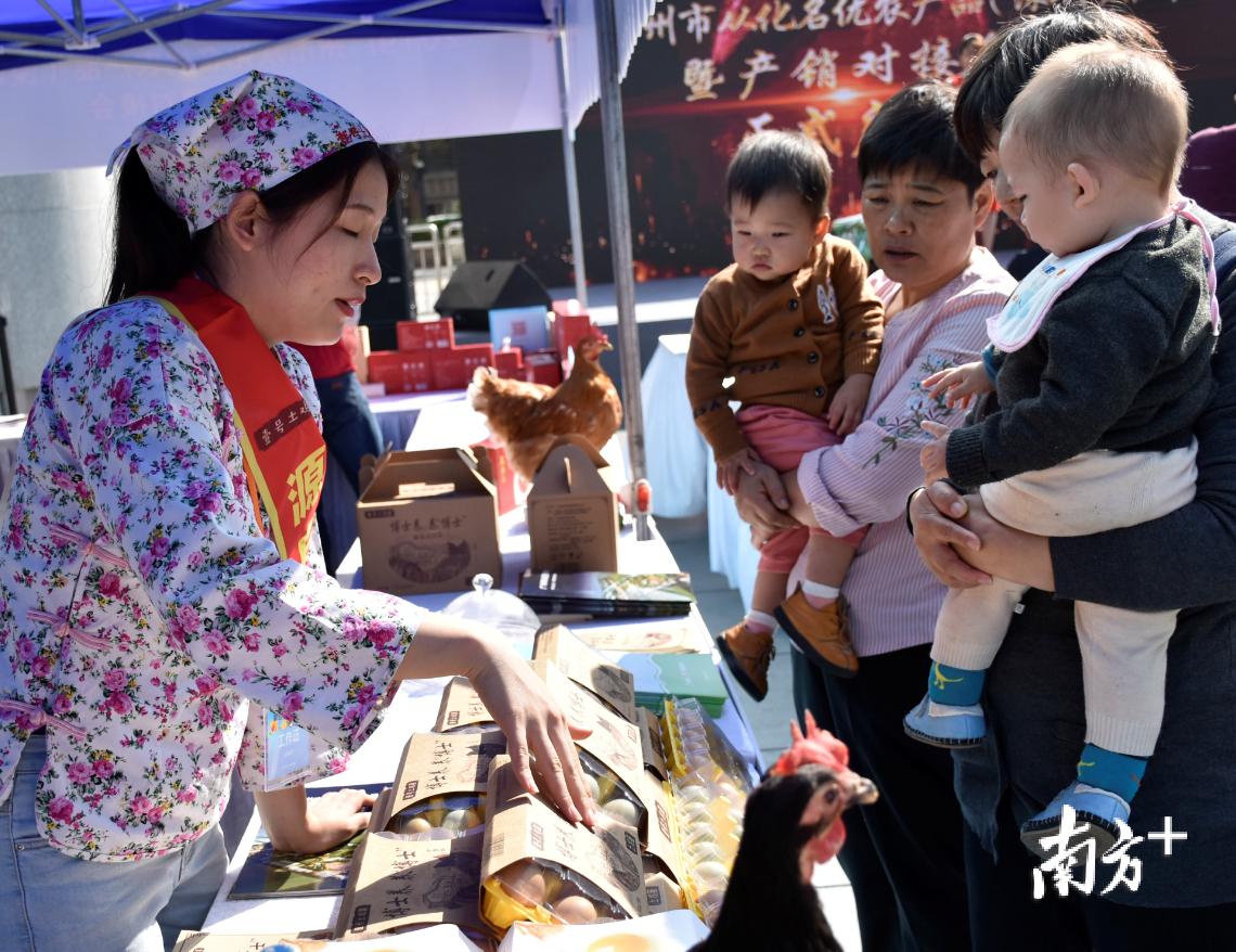 广州从化名优农产品,广州从化好吃的荔枝