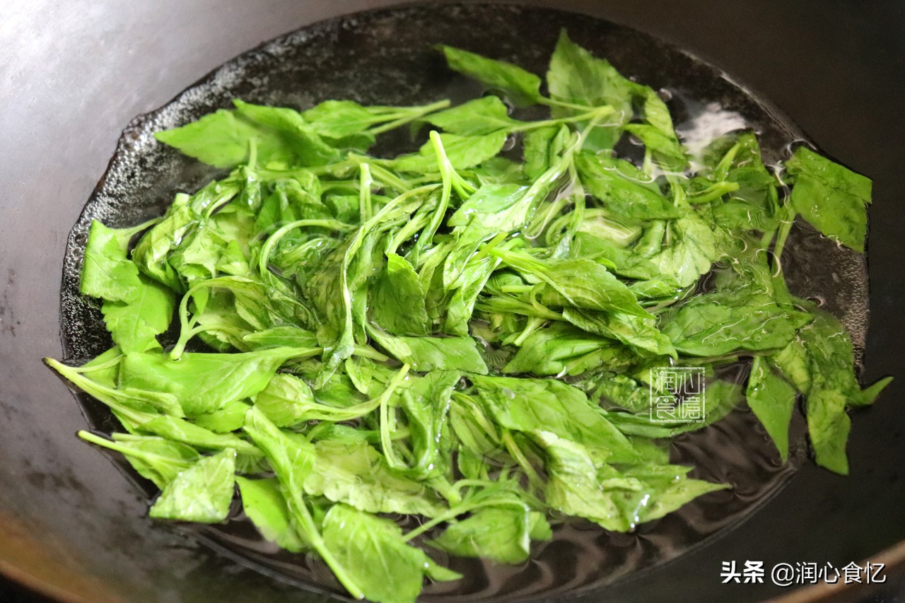 快立夏了，碰见这种时令野菜抓紧吃，营养足鲜又嫩，过阵子就少了