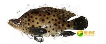 舟山海鲜攻略2天1晚住宿自由行,舟山最好的海鲜