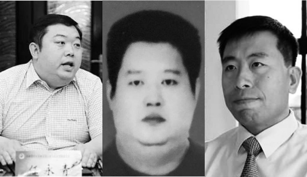 山西晋中德御系资本运作,山西晋中德御系项目有哪些