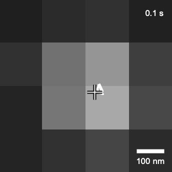 用纸做dna分子模型图片,dna折纸技术就业