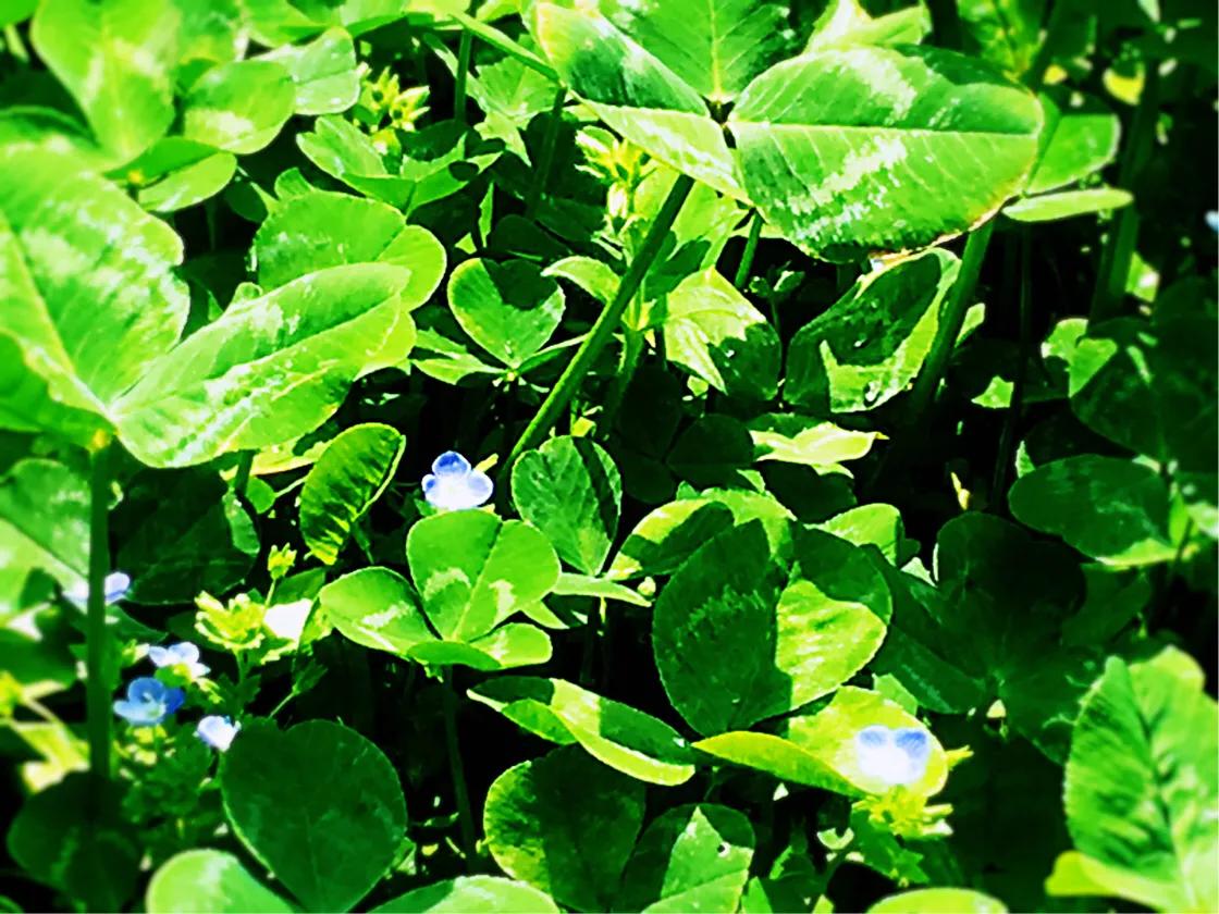 行走在路上的歌曲,行走在路上的真实图片