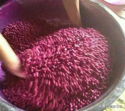 种花生老是被老鼠吃了怎么办,花生用药对下茬种玉米有危害吗