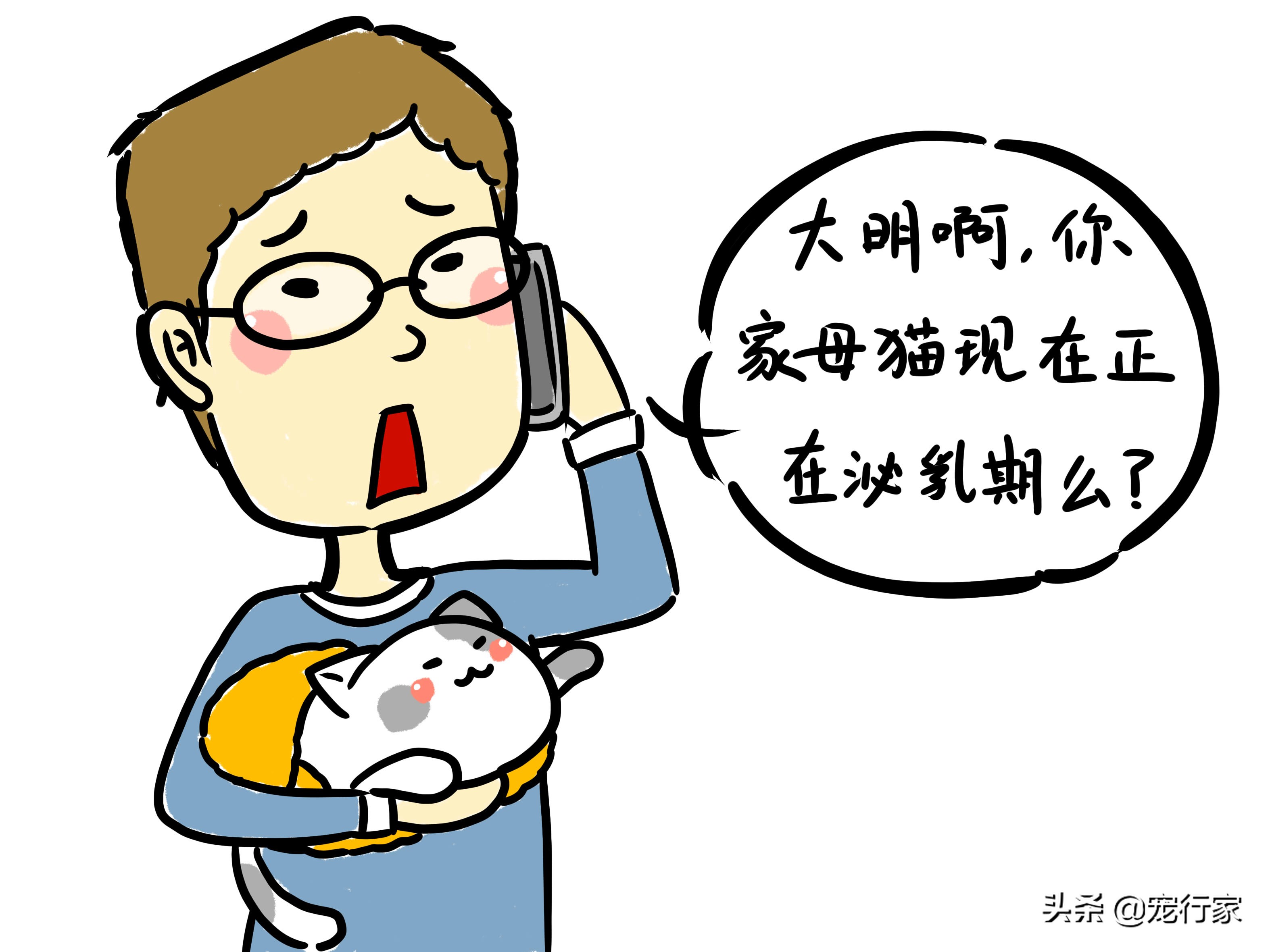 小猫刚生母猫没有母乳可以养活吗,刚出生三天的小猫没有猫妈妈