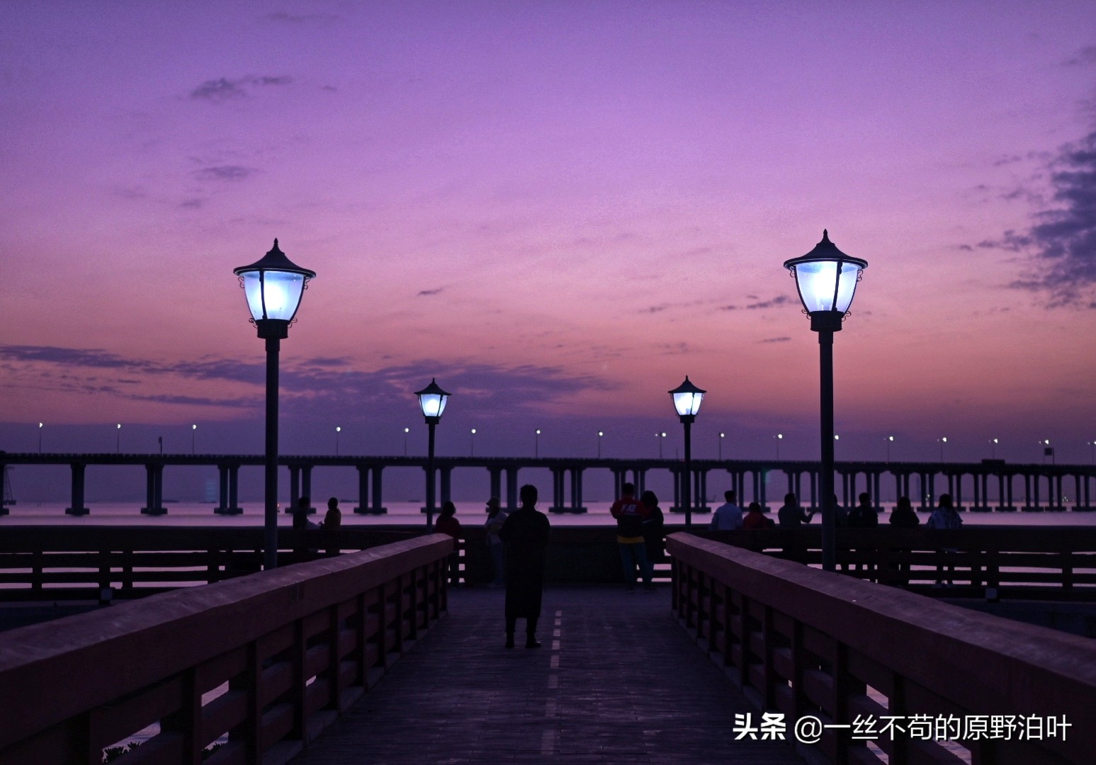 尼康z501.8s镜头优缺点,尼康z501.2s优点和缺点