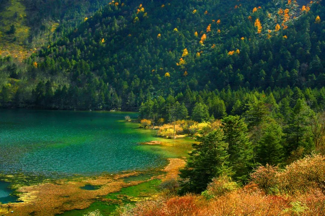 成都出发避暑游玩攻略5天,国庆四川好耍的地方