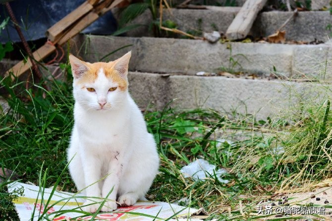 厦门海边之旅,厦门小众旅游体验