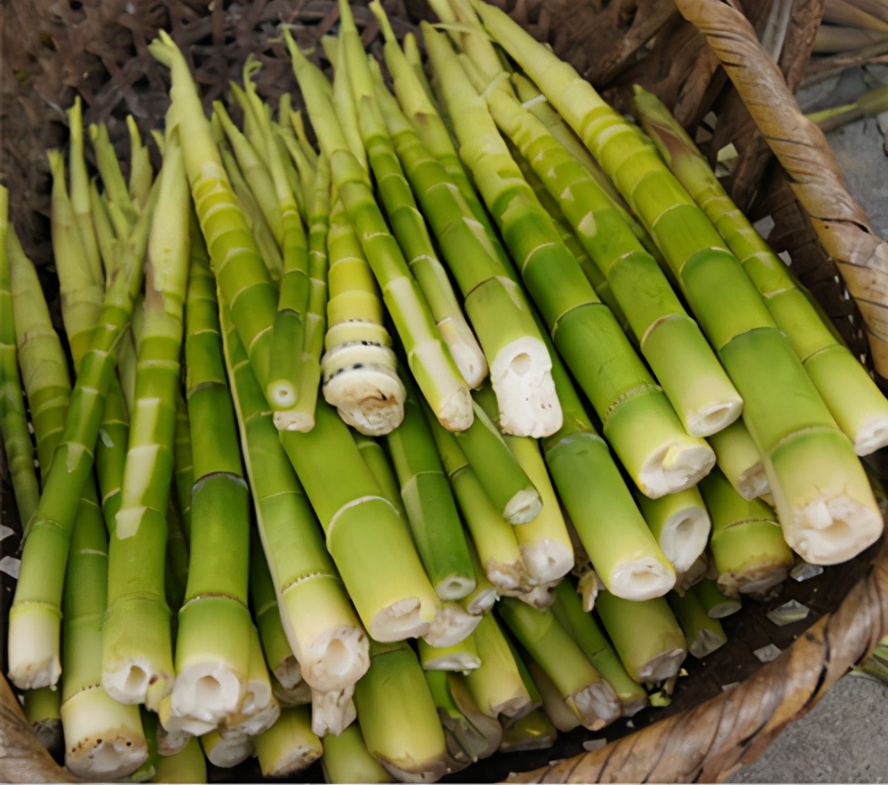 云贵川农产品土特产竹笋,重庆市忠县白石镇竹笋