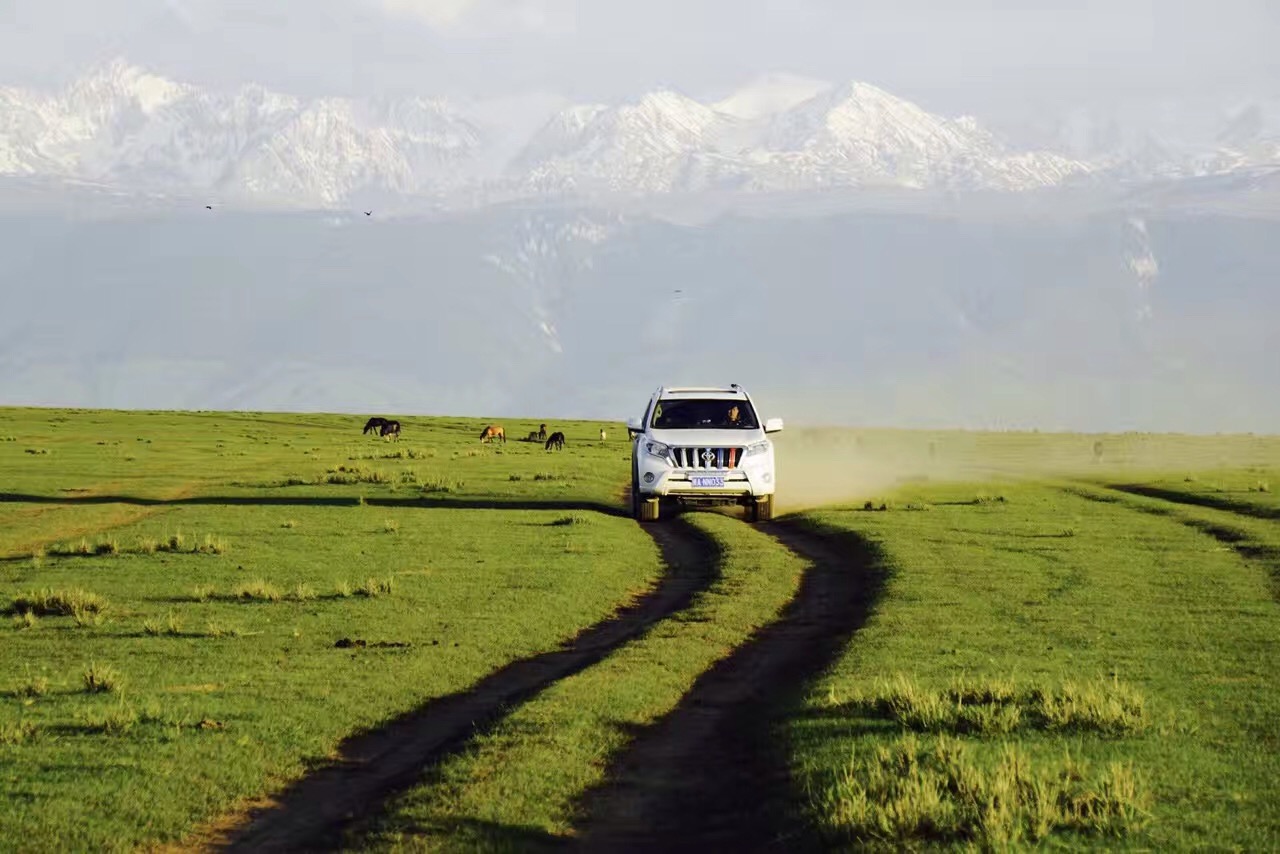 普拉多27越野,普拉多27越野视频