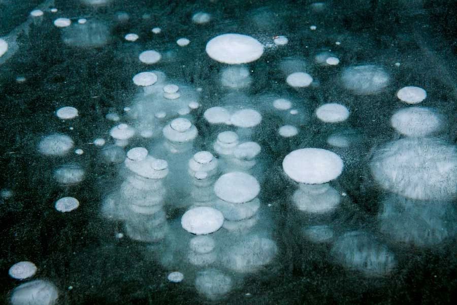 冬季的庭院景观,美丽如画的自然景观让人心旷神怡