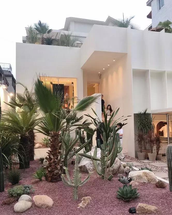 来韩国首尔这些店一定要逛,首尔探店必去的店