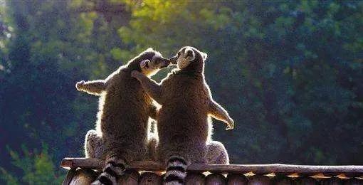 最理想的夫妻关系视频,最理想的夫妻状态是怎样的